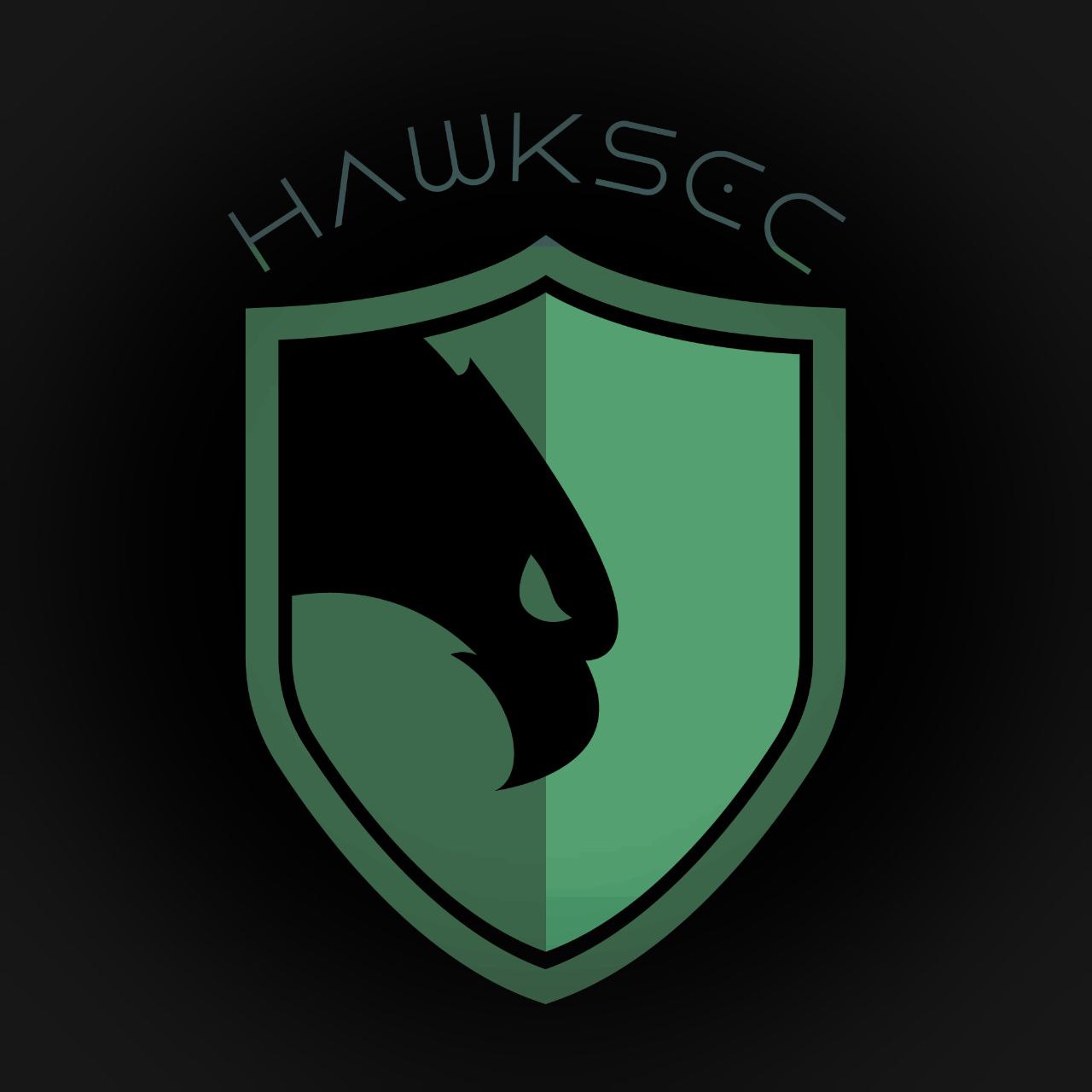 Logo HawkSec Networking